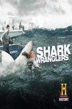 Watch Shark Wranglers Zumvo