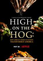 Watch High on the Hog: How African American Cuisine Transformed America Zumvo