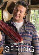 Watch Jamie Cooks Spring Zumvo