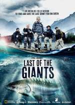 Watch Last of the Giants: Wild Fish Zumvo