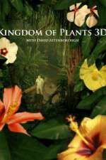 Watch Kingdom of Plants 3D Zumvo