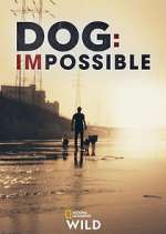 Watch Dog: Impossible Zumvo