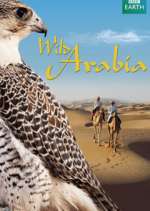 Watch Wild Arabia Zumvo