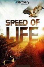 Watch Discovery Channel Speed Of Life Zumvo