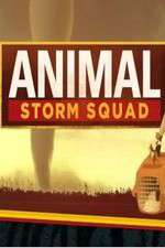 Watch Animal Storm Squad Zumvo