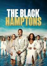 Watch Carl Weber's The Black Hamptons Zumvo