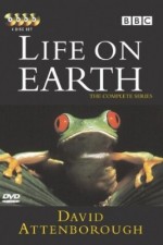 Watch Life on Earth Zumvo