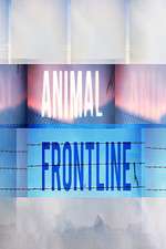 Watch Animal Frontline Zumvo