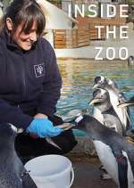 Watch Inside the Zoo Zumvo