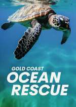 Watch Gold Coast Ocean Rescue Zumvo