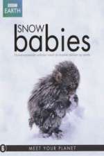 Watch Snow Babies Zumvo