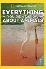 Watch Everything You Didnt Know About Animals Zumvo