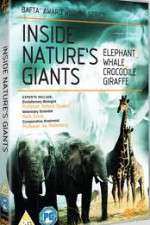 Watch Inside Nature's Giants Zumvo