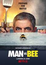 Watch Man Vs Bee Zumvo