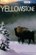 Watch Yellowstone Zumvo