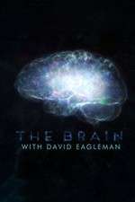 Watch The Brain with Dr David Eagleman Zumvo