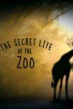 Watch The Secret Life of the Zoo Zumvo