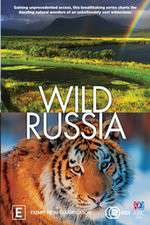 Watch Wild Russia Zumvo