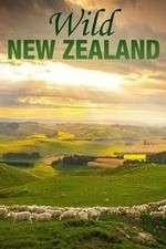 Watch Wild New Zealand Zumvo